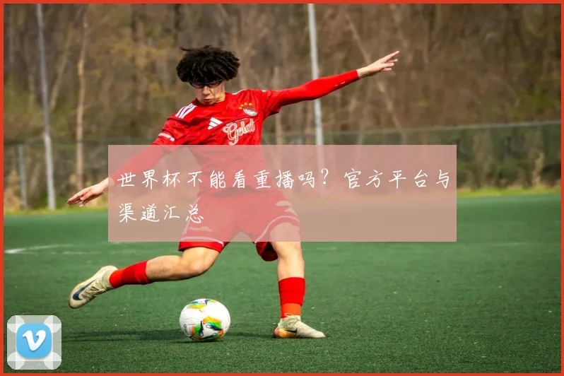 世界杯不能看重播吗？官方平台与渠道汇总