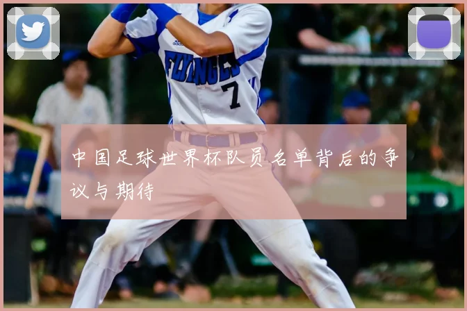 中国足球世界杯队员名单背后的争议与期待