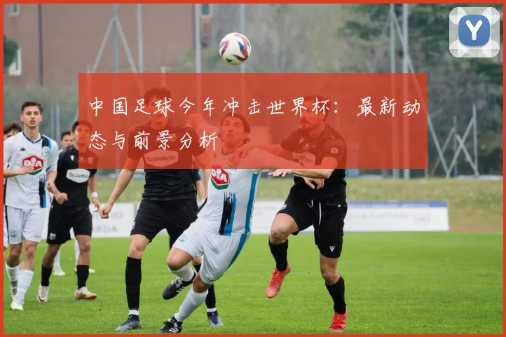 中国足球今年冲击世界杯：最新动态与前景分析