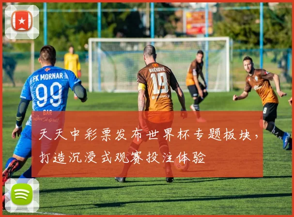 天天中彩票发布世界杯专题板块，打造沉浸式观赛投注体验