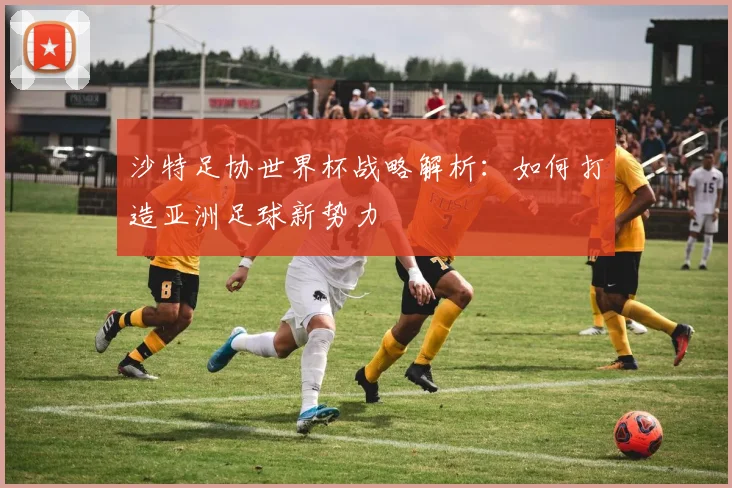 沙特足协世界杯战略解析:如何打造亚洲足球新势力