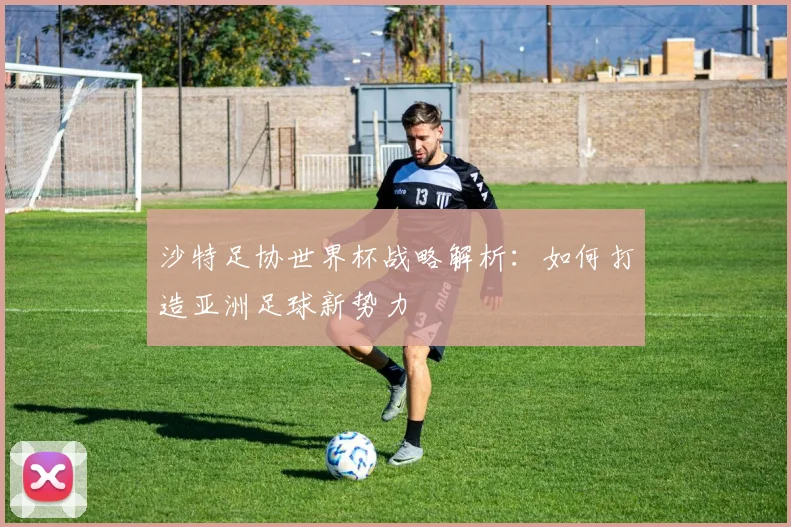 沙特足协世界杯战略解析:如何打造亚洲足球新势力
