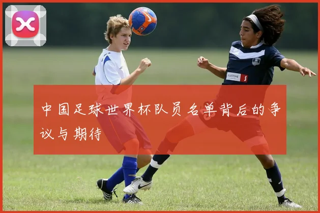 中国足球世界杯队员名单背后的争议与期待