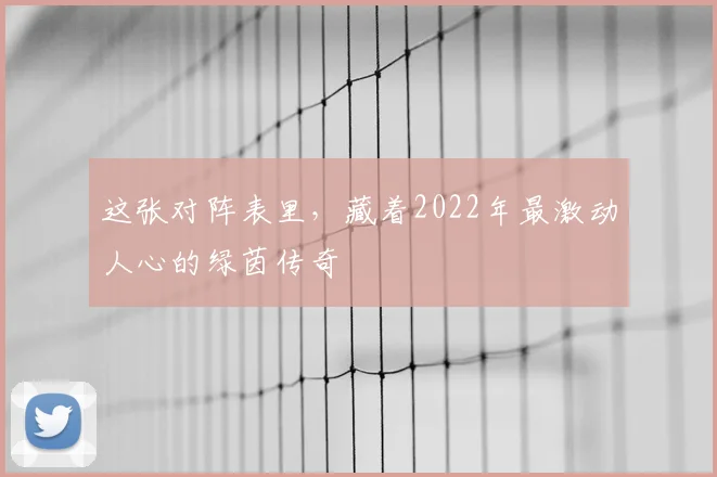 这张对阵表里，藏着2022年最激动人心的绿茵传奇