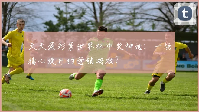 天天盈彩票世界杯中奖神话：一场精心设计的营销游戏？