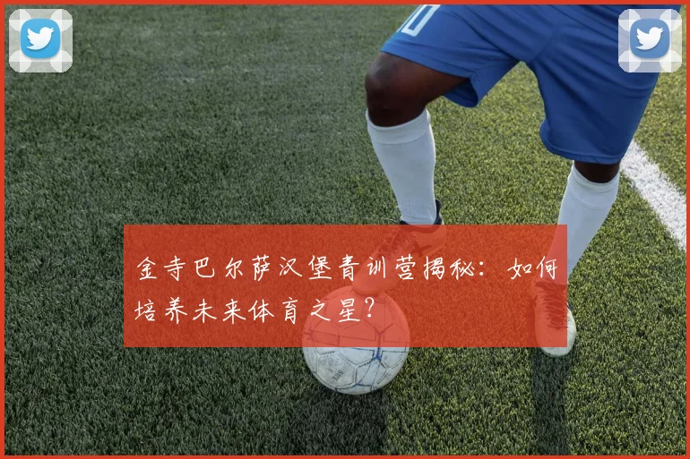 金寺巴尔萨汉堡青训营揭秘：如何培养未来体育之星？